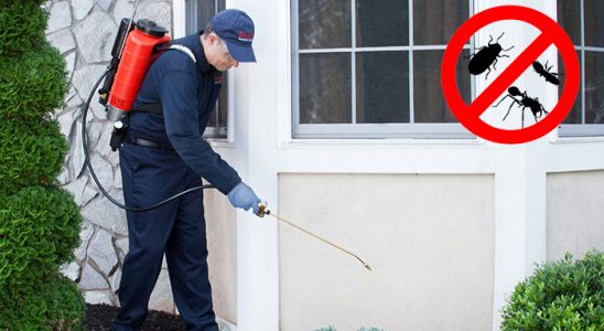 Seben Kene İlaçlama böcek ilaçlama ve haşere kontrolü — ilaclama-tr.com